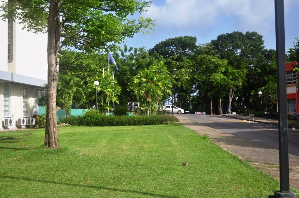 Around Campus